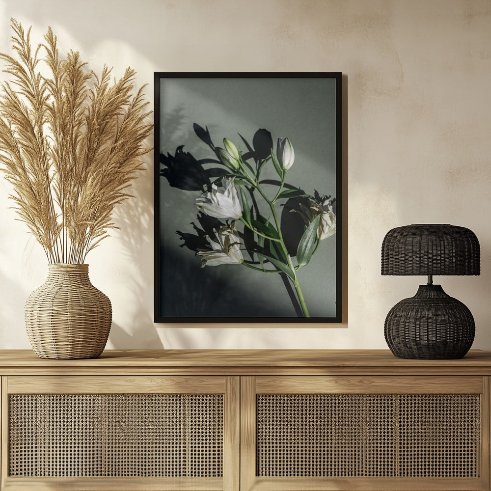 Fotografie eines Lilienzweigs mit Knospen und Schatten auf graugrünem Hintergrund