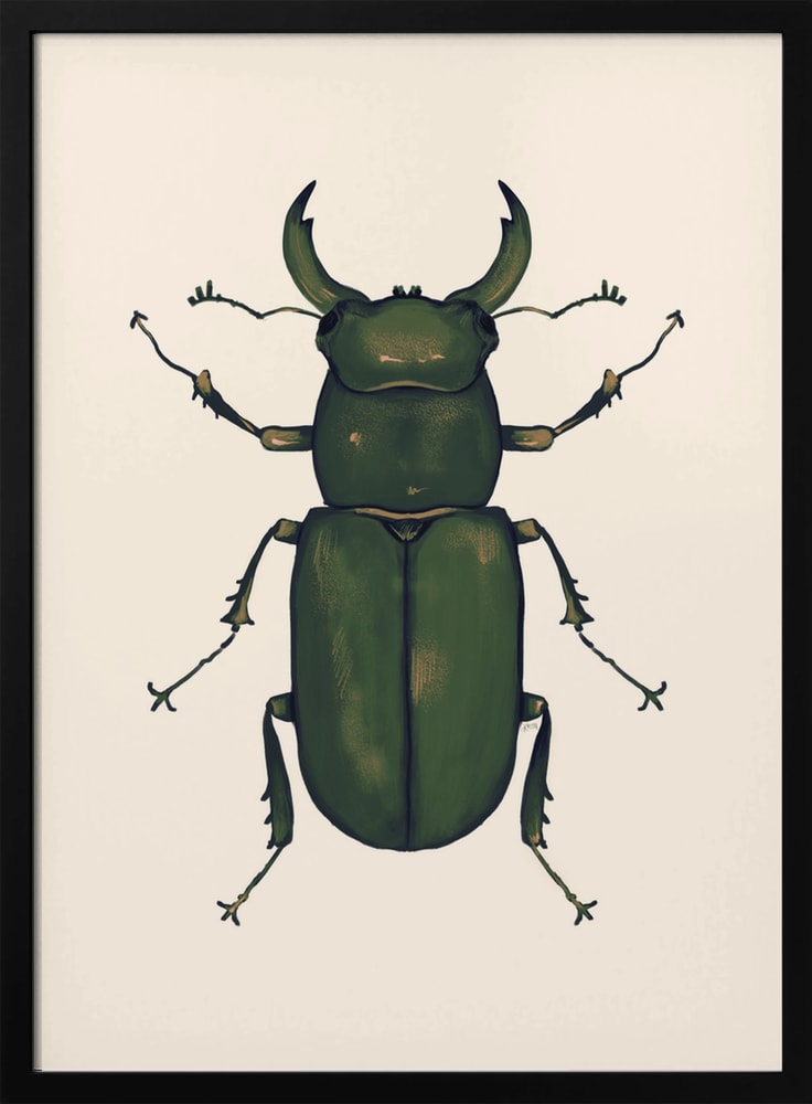 Illustration eines dunkelgrünen Hirschkäfers auf hellem Hintergrund