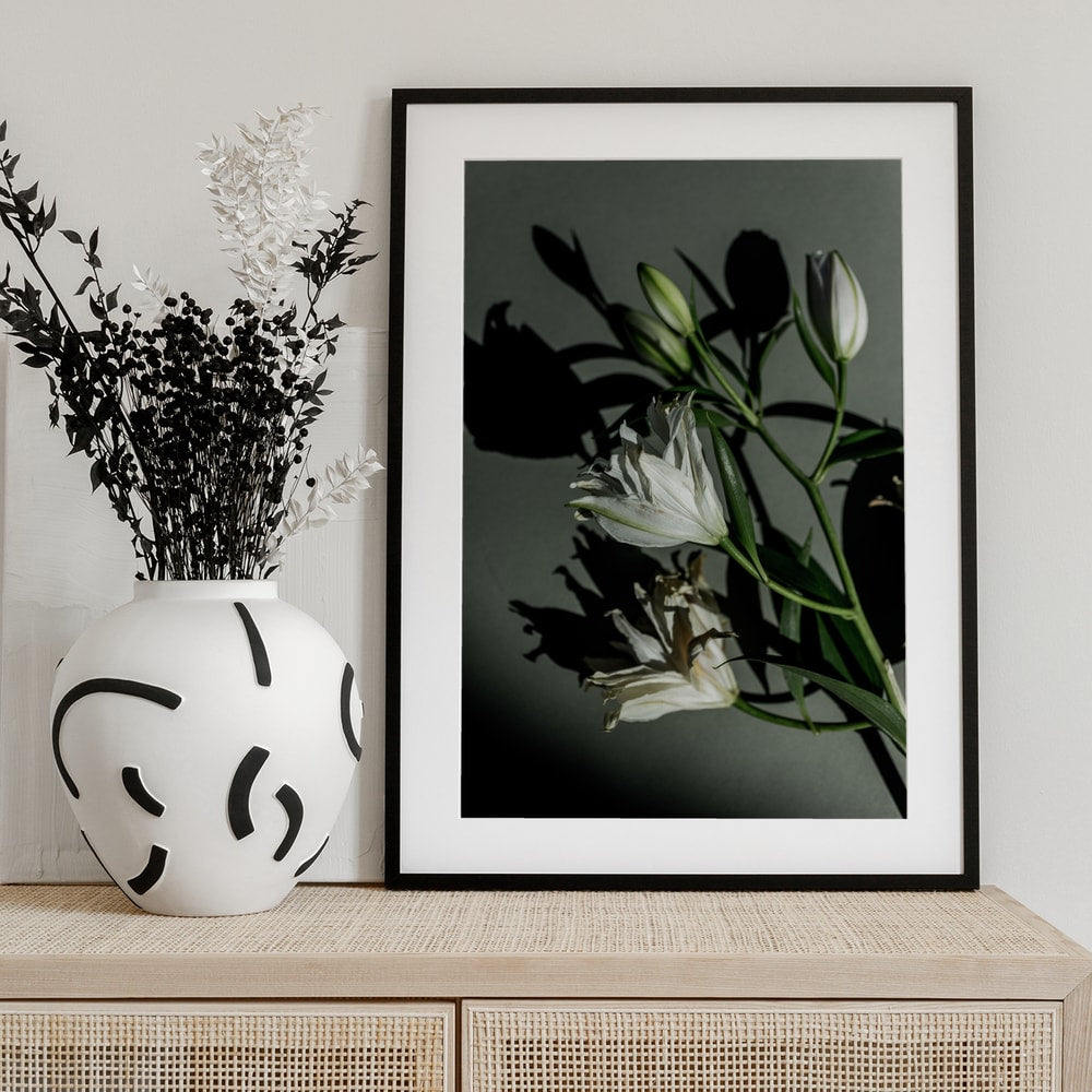 Fotografie weißer Lilien mit Schatten auf graugrüner Wand