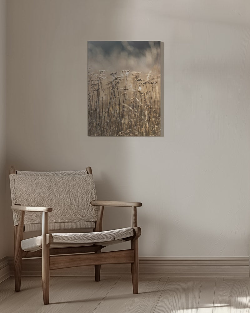 Fotografie eines Feldes mit trockenen Gräsern und Blüten in Beige- und Goldtönen