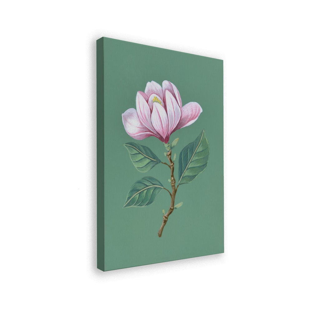 Illustration eines Magnolienzweigs mit rosa Blüte auf salbeigrünem Hintergrund