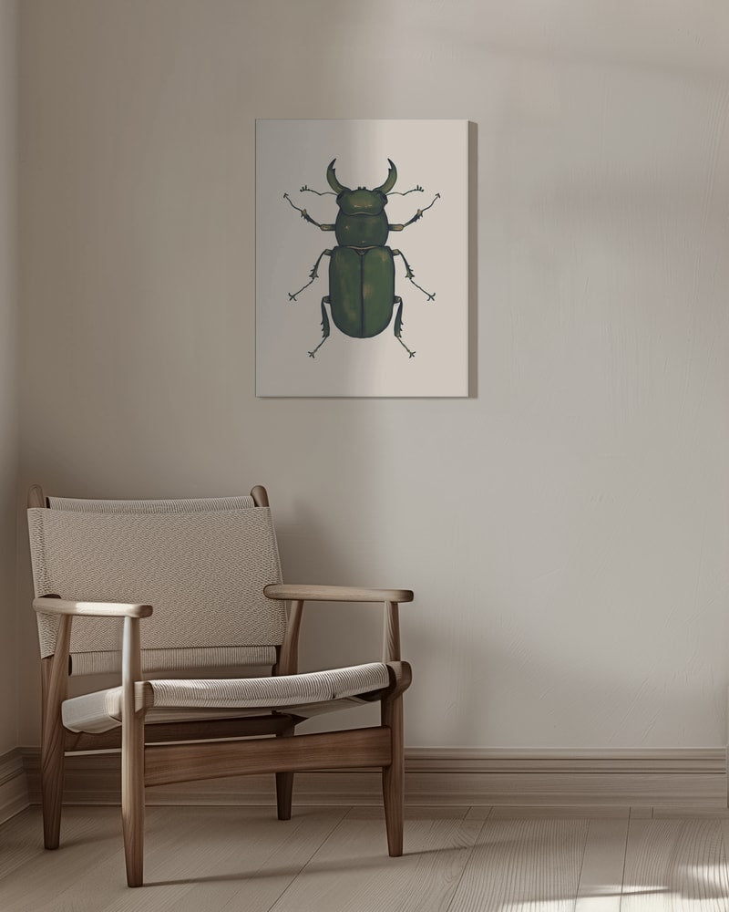 Illustration eines dunkelgrünen Hirschkäfers auf hellem Hintergrund