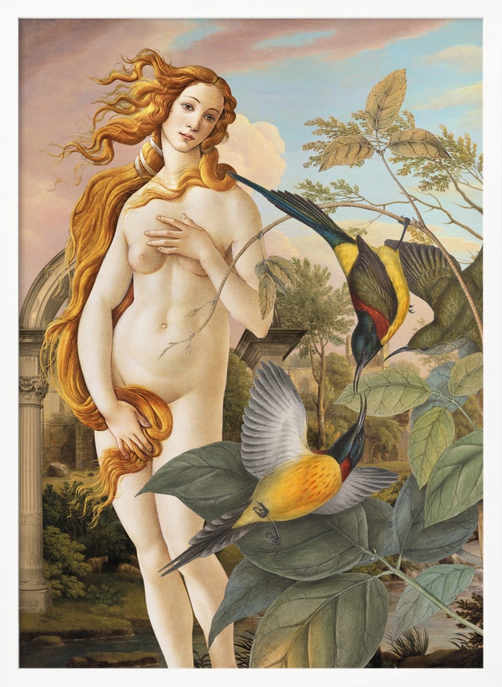 Collage der Venus von Botticelli zwischen bunten tropischen Vögeln und Pflanzen