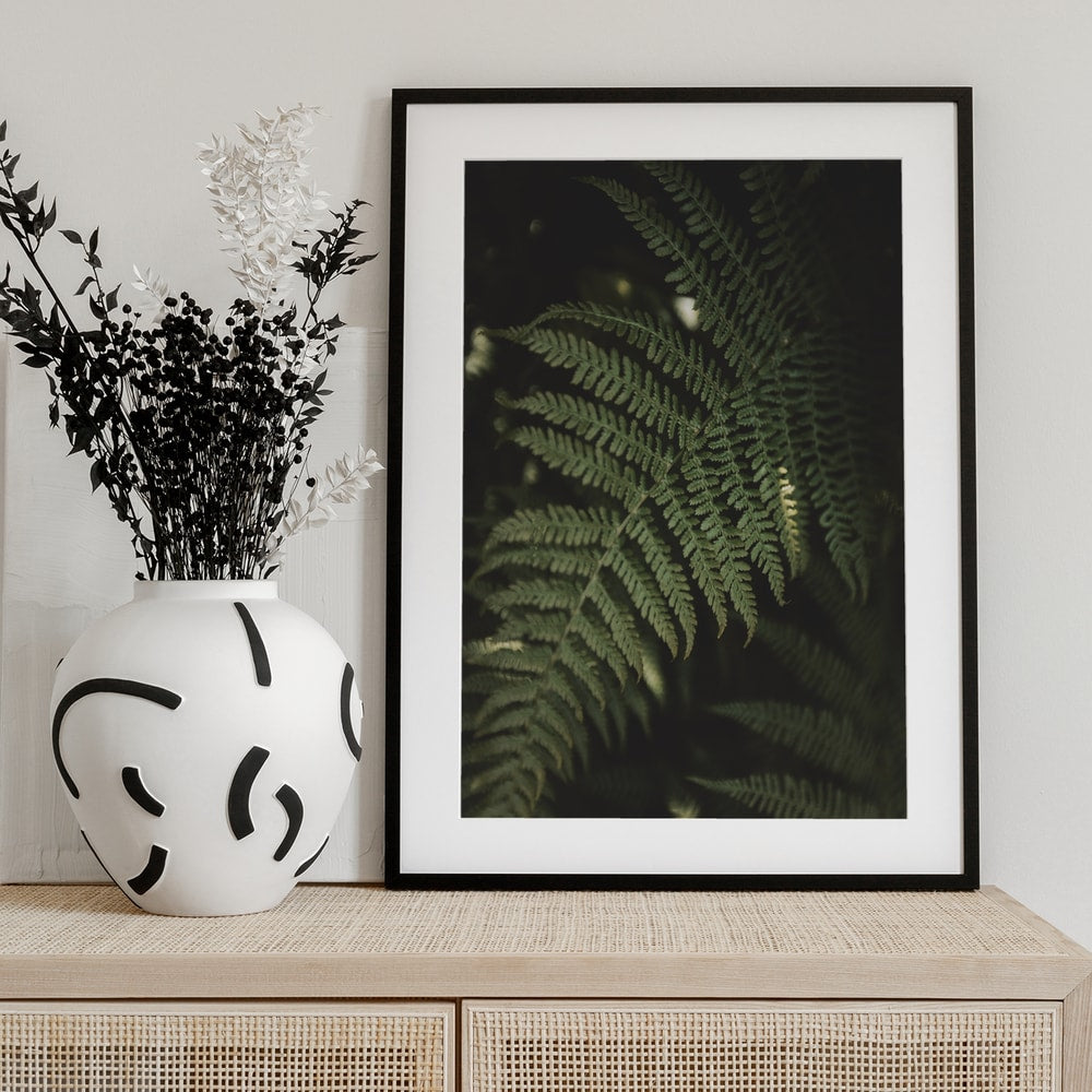 Fotografie eines grünen Farnwedels im dunklen Wald