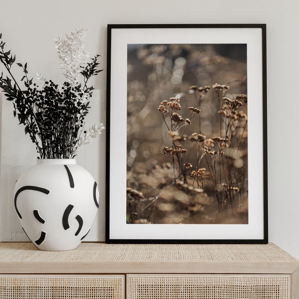 Fotografie trockener Blüten im goldenen Gegenlicht mit unscharfem Hintergrund