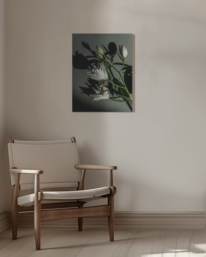 Fotografie weißer Lilien mit Schatten auf graugrüner Wand