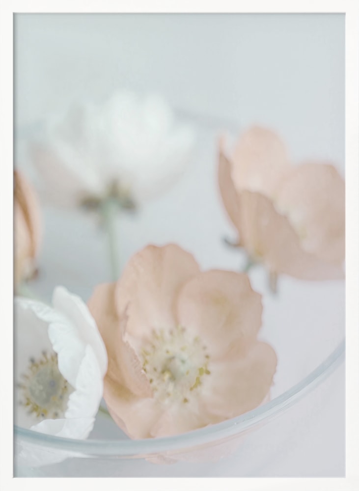 Fotografie zarter cremefarbener und pfirsichfarbener Blüten in einer Glasschale