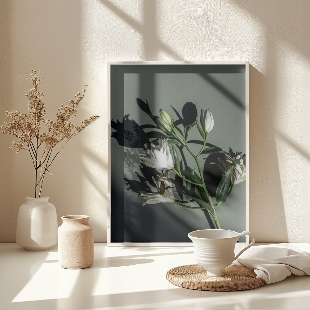 Fotografie eines Lilienzweigs mit Knospen und Schatten auf graugrünem Hintergrund
