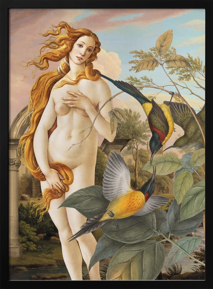 Collage der Venus von Botticelli zwischen bunten tropischen Vögeln und Pflanzen