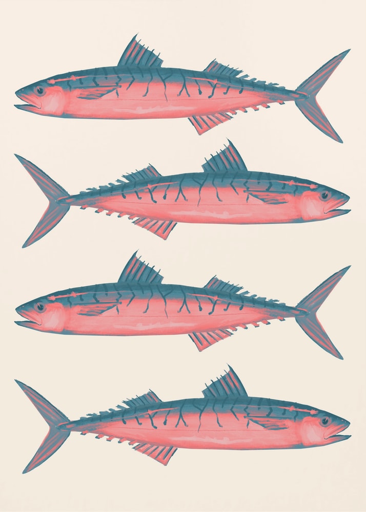 Illustration von vier rosa-blaugrauen Makrelen untereinander auf hellem Hintergrund