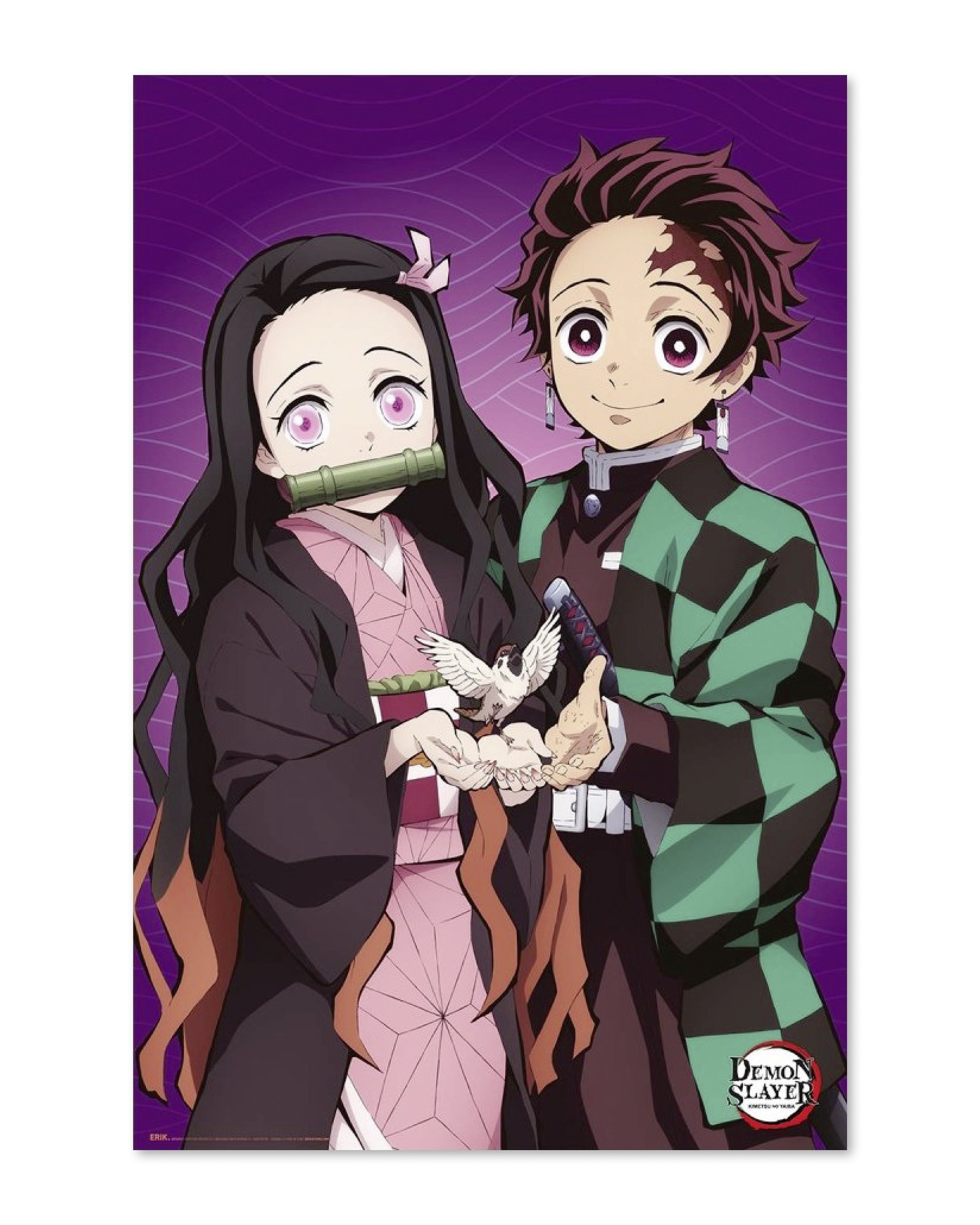 Demon Slayer Poster 2 The Hinokami Chronicles