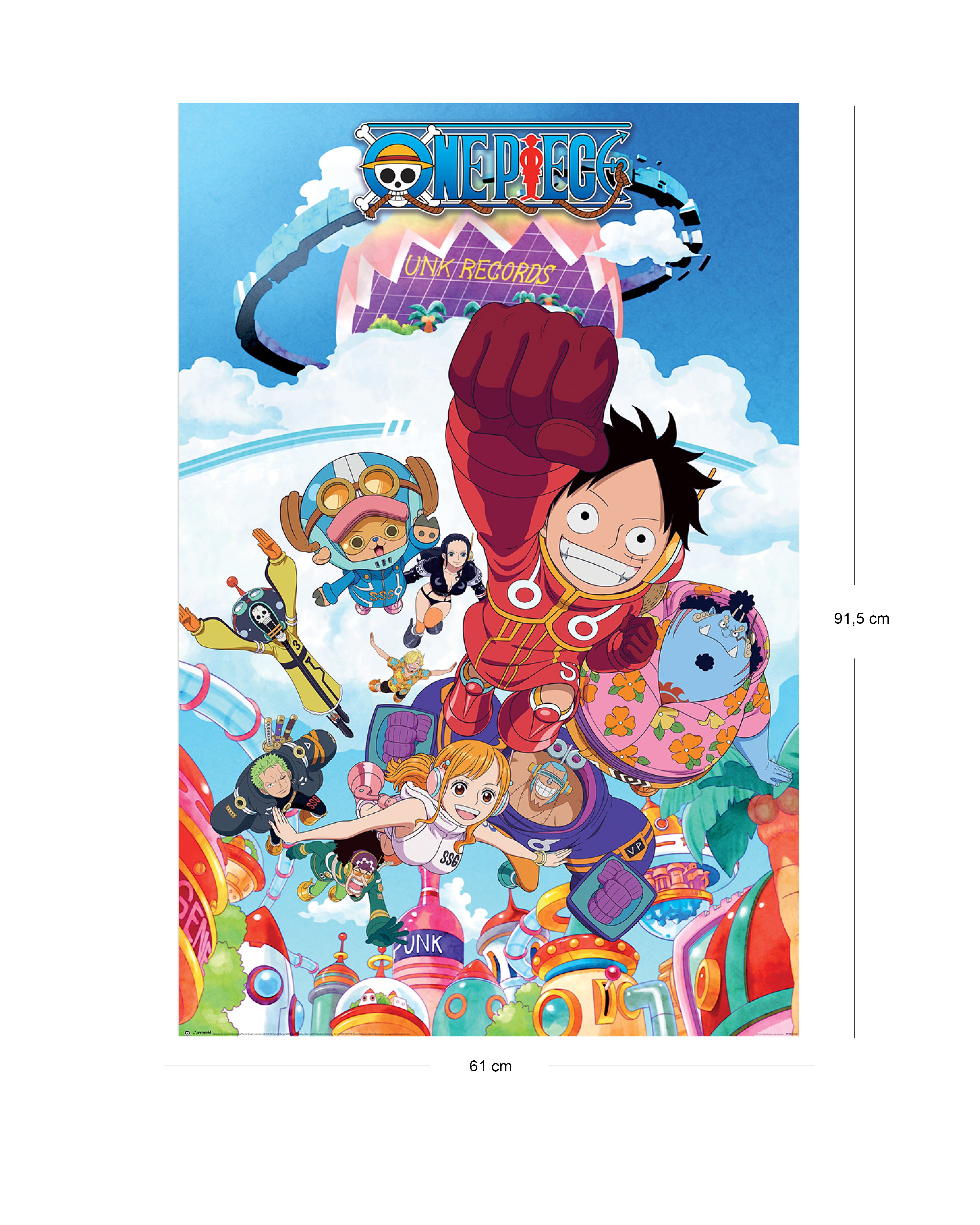 One Piece Poster Punk Records
