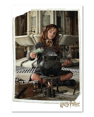 Harry Potter Poster Hermine