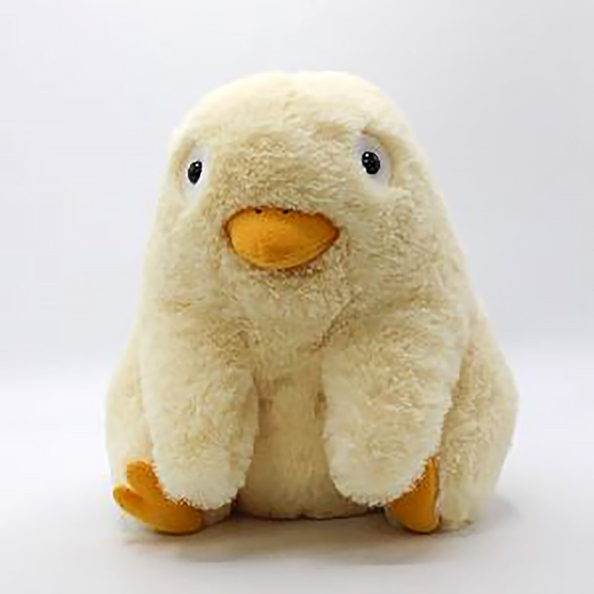 Here should be a File.