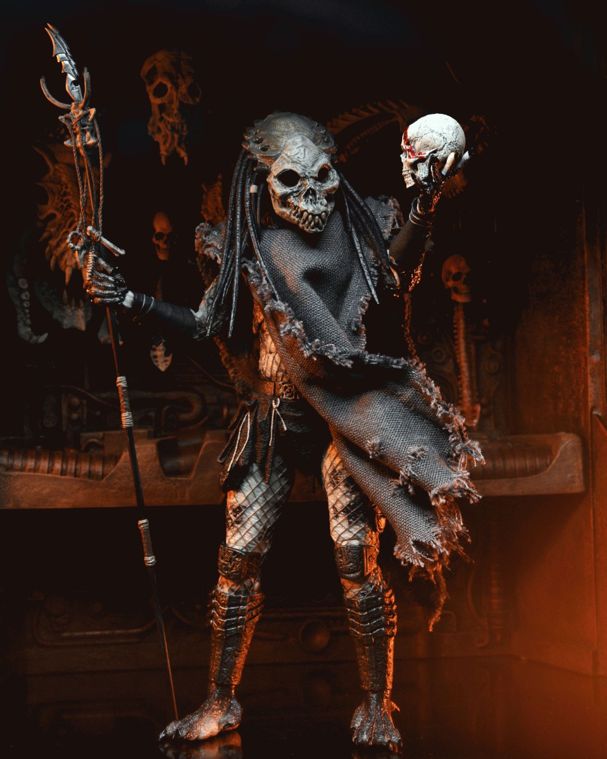 Here should be a File.