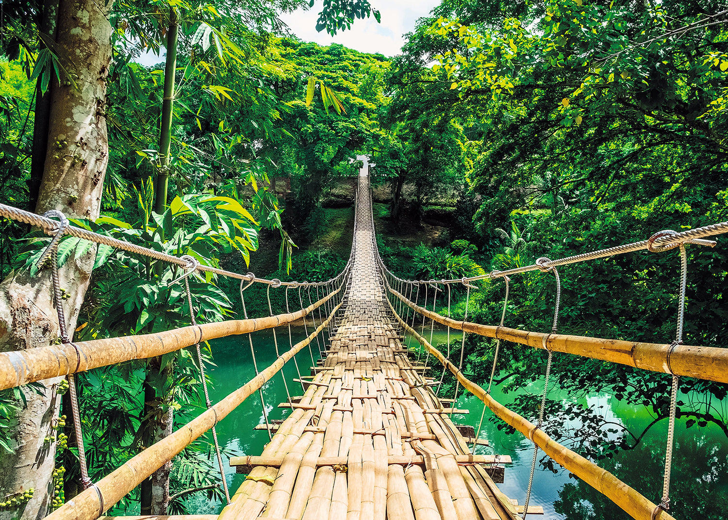 Here should be a File.