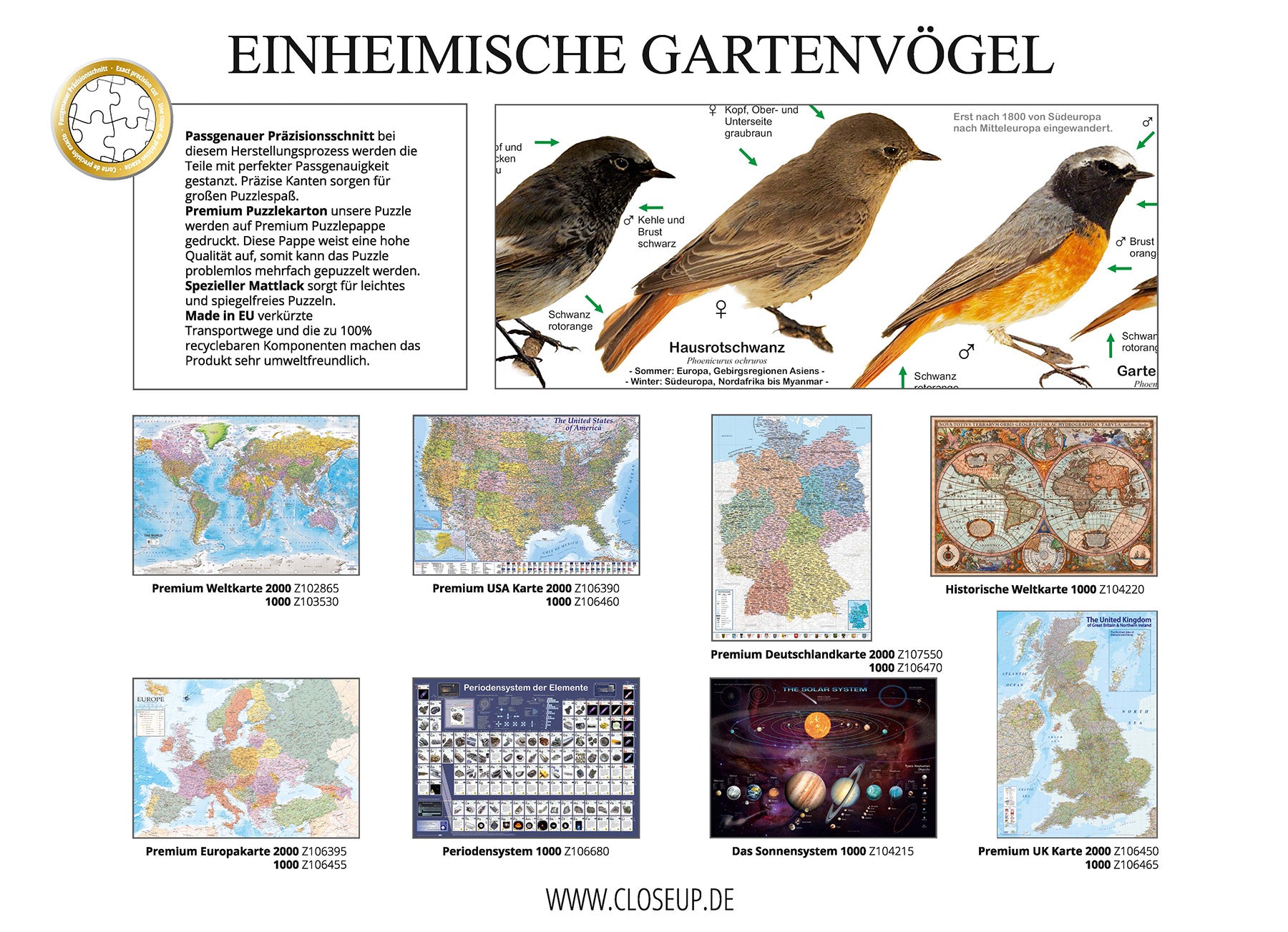 Here should be a File.