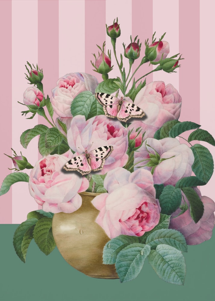 Illustration rosa Rosen in goldener Vase mit Schmetterlingen vor rosa gestreiftem Hintergrund