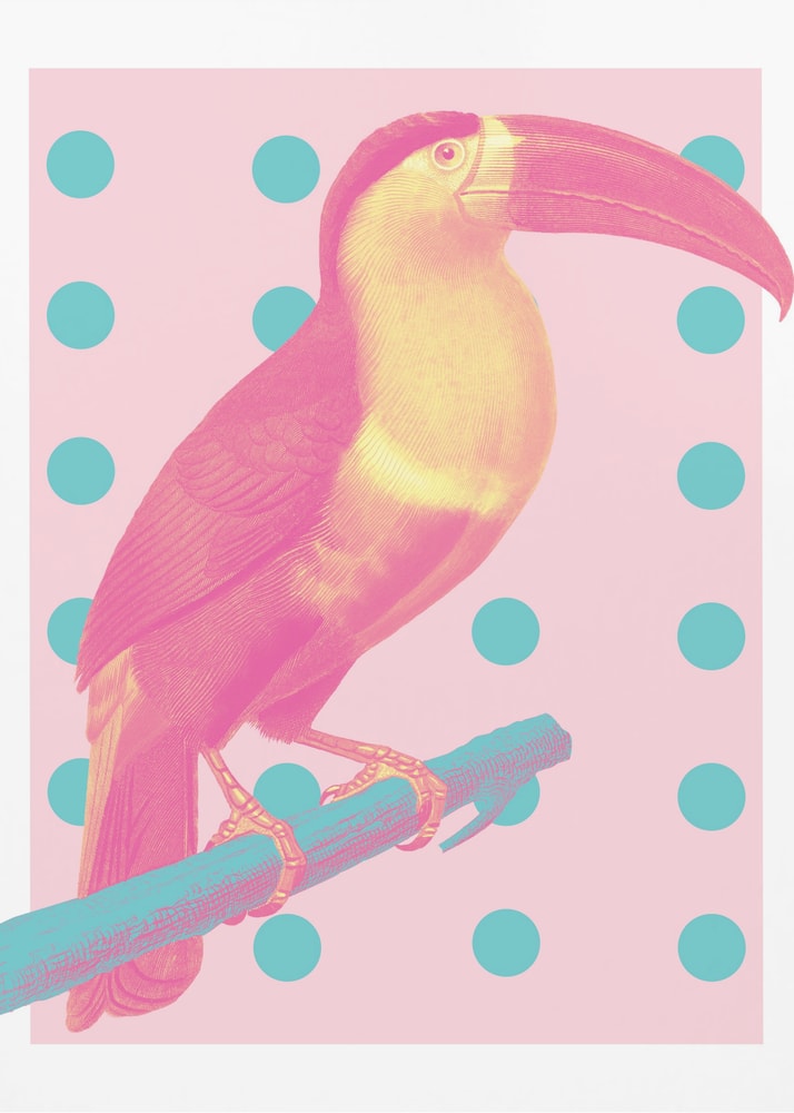Illustration eines pink-gelben Tukans auf türkisem Ast vor rosa Hintergrund mit Punkten
