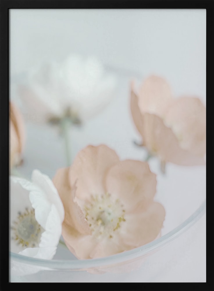 Fotografie zarter cremefarbener und pfirsichfarbener Blüten in einer Glasschale