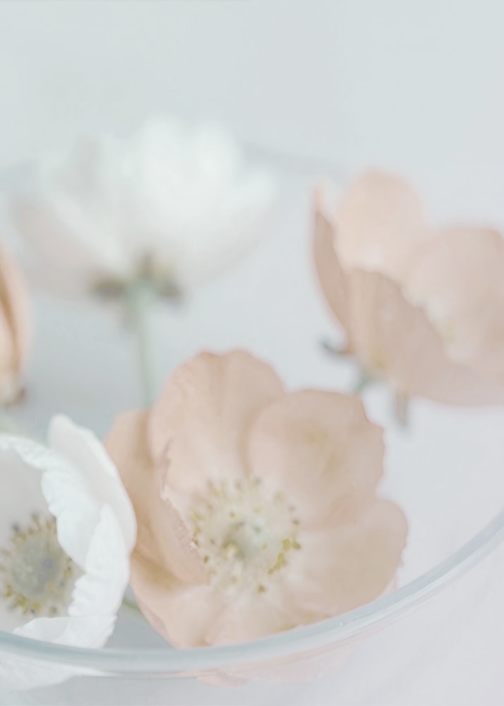 Fotografie zarter cremefarbener und pfirsichfarbener Blüten in einer Glasschale