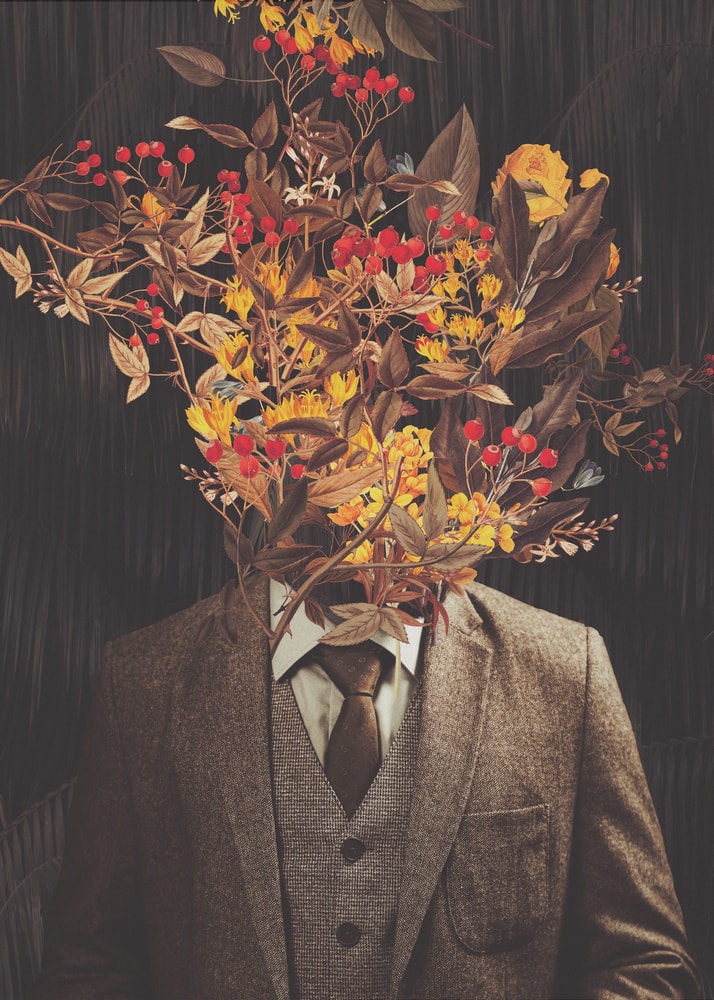 Gentleman mit Blumenkopf
