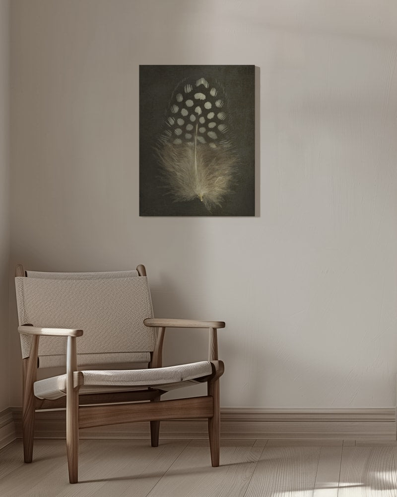 Fotografie einer gepunkteten Perlhuhnfeder vor dunklem Hintergrund