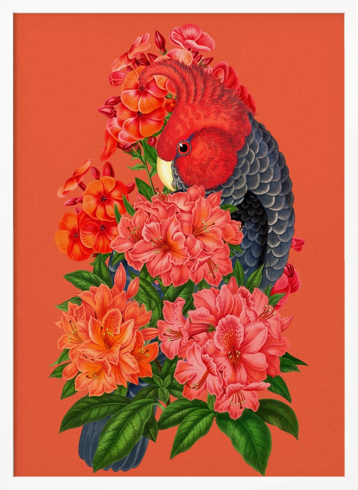 Illustration eines Kakadus mit rotem Kopf zwischen roten und lachsfarbenen Blüten auf orangerotem Hintergrund