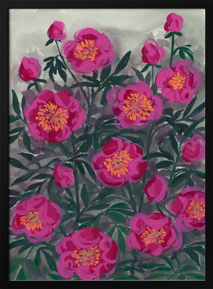 Pinke Pfingstrosen II
