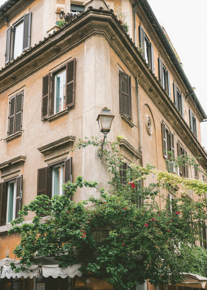Botanical Trastevere Rome ||