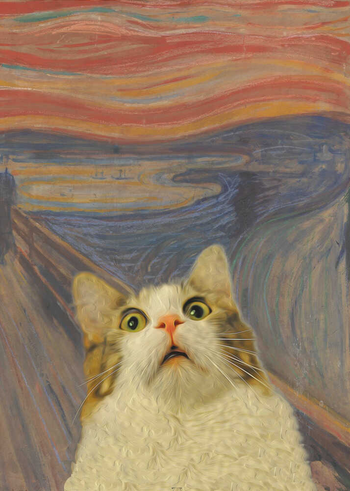 The Meow 02